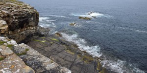 Felsküste im Naturreservat der Orkney Inseln
