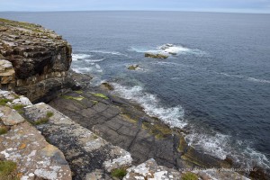 Felsküste im Naturreservat der Orkney Inseln