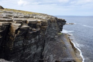 Felsküste im Naturreservat der Orkney Inseln