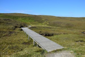 Wanderweg im Hermaness Naturreservat