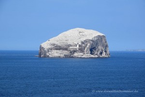 Bass Rock vor dem Tantallon Castle