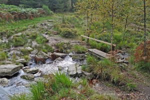 Brücke über den Bach