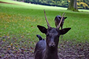 Da guckt jemand neugierig