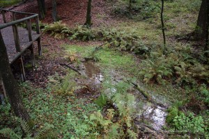 Emsquellen