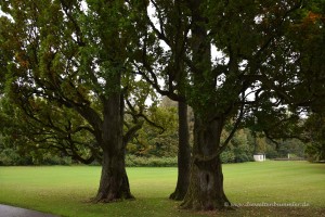 Gräflicher Park in Bad Driburg