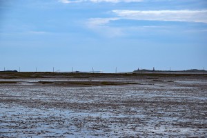 Im Hintergrund ist Farne Island