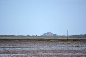 Bamburgh Castle in der Ferne