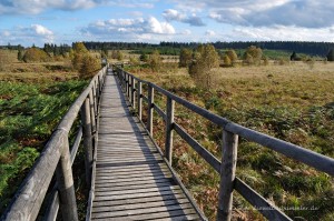 Holzsteg mit Geländer