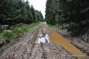 Matschiger Wanderweg