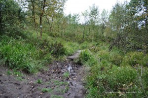 Matschiger Wanderweg
