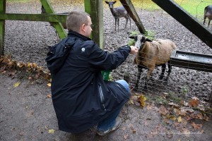 Michael Moll mit Schaf