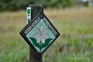 Naturschutzgebiet