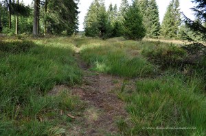 Schmaler Wanderweg