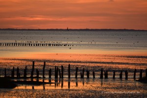 Sonnenuntergang am Wattenmeer