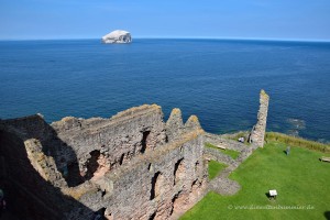 Tantallon Castle und Bass Rock