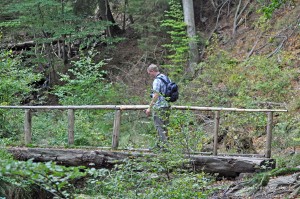 Wackelige Holzbrücke