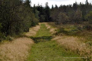 Wandern im Hohen Venn