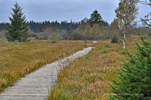 Wandern im Hohen Venn