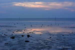 Watt in der Nordsee