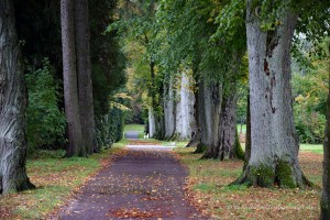 Weg vom Park ins Zentrum