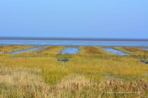 Weltkulturerbe Wattenmeer