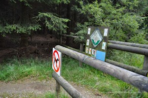Zugang zum Venn
