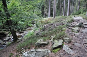 Über Stock und Stein