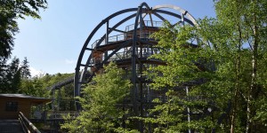 Baumkronenpfad Bad Harzburg