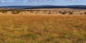 Wandern im Hohen Venn