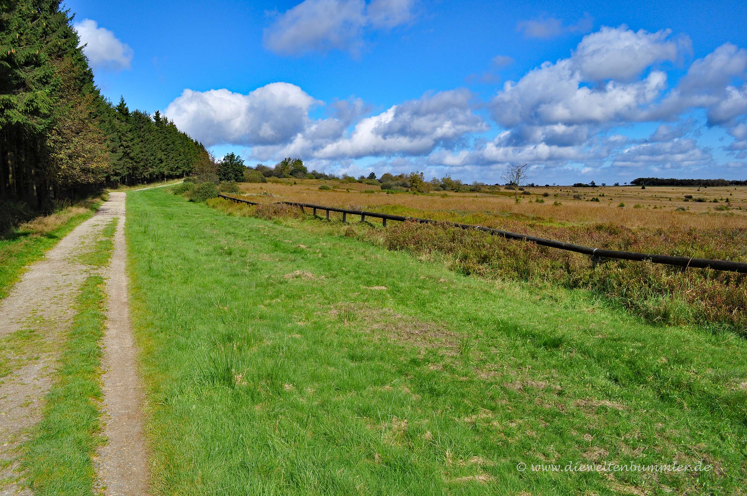 Wandern am Wallonischen Venn