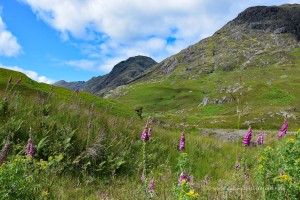 Glen Coe