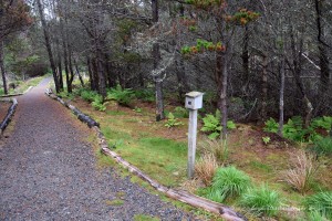 Stempelkasten am Wanderweg