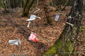 Müll im Wald platziert