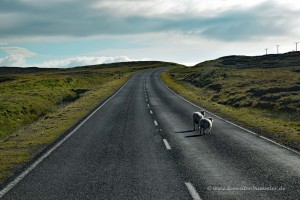 Weite Straßen auf den Shetlands