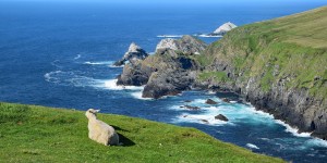 Wandern im Norden der Shetland-Inseln