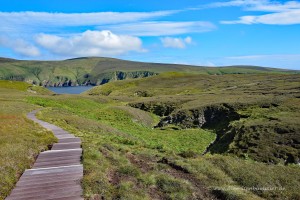 Wanderweg durch das Naturreservat