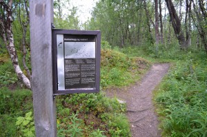 Beschilderung am Waldweg