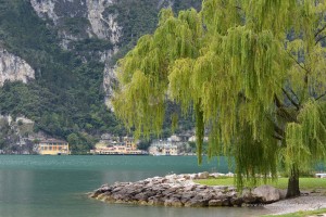 Nordufer bei Riva del Garda