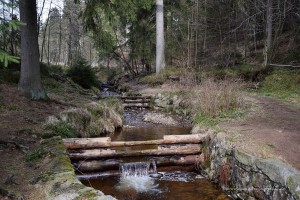 Oberharzer Wasserwirtschaft