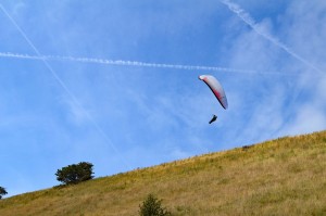 Paraglider