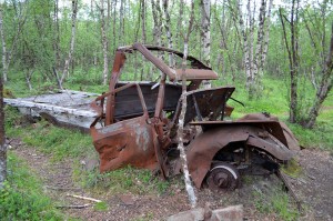 Verrostetes Auto im Wald