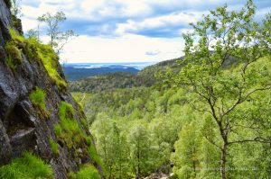 Ausblick