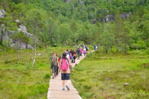 Preikestolen ist kein Geheimtipp