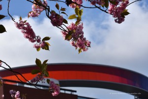 Panorama im Frühling