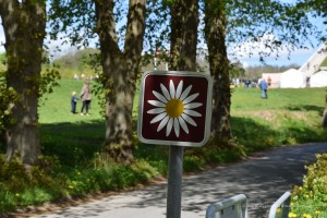 Margeritenroute in Dänemark