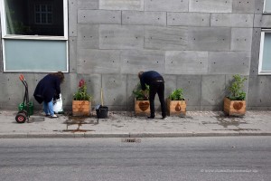 Adoptiertes Straßengrün