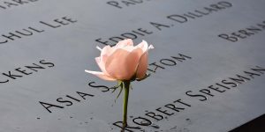 Rose am Ground Zero