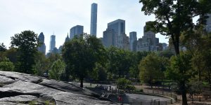 Blick aus dem Central Park