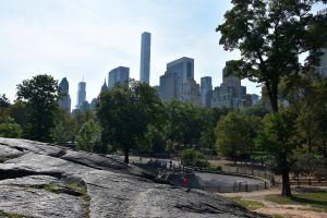 Blick aus dem Central Park