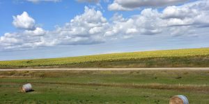 Landschaft in South Dakota